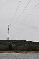 $field.value